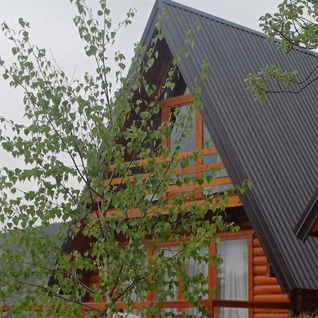 Villa Wood Borje Žabljak Exteriör bild